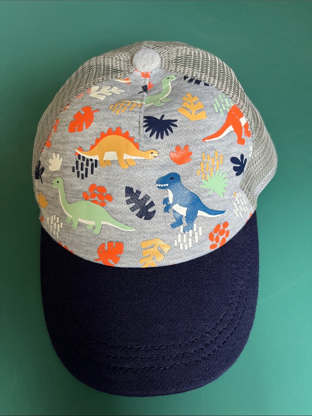 No Brand boy’s dinosaur ball cap.